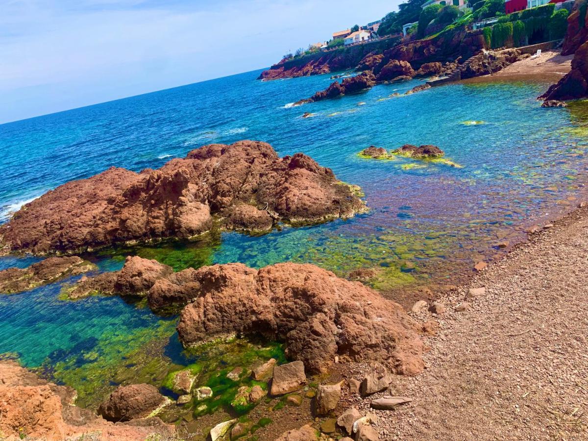 La Belle Vue-Charming Duplex Apartment With Sea View, 50 Meters From Beach And Private Parking Saint-Raphaël Екстериор снимка
